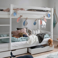 Loft beds 