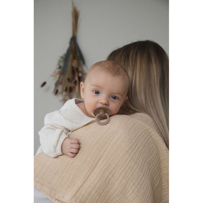 Bibs Round Colour Pacifier - Pack - 3 pcs. - sz. 2 - Dark Oak 