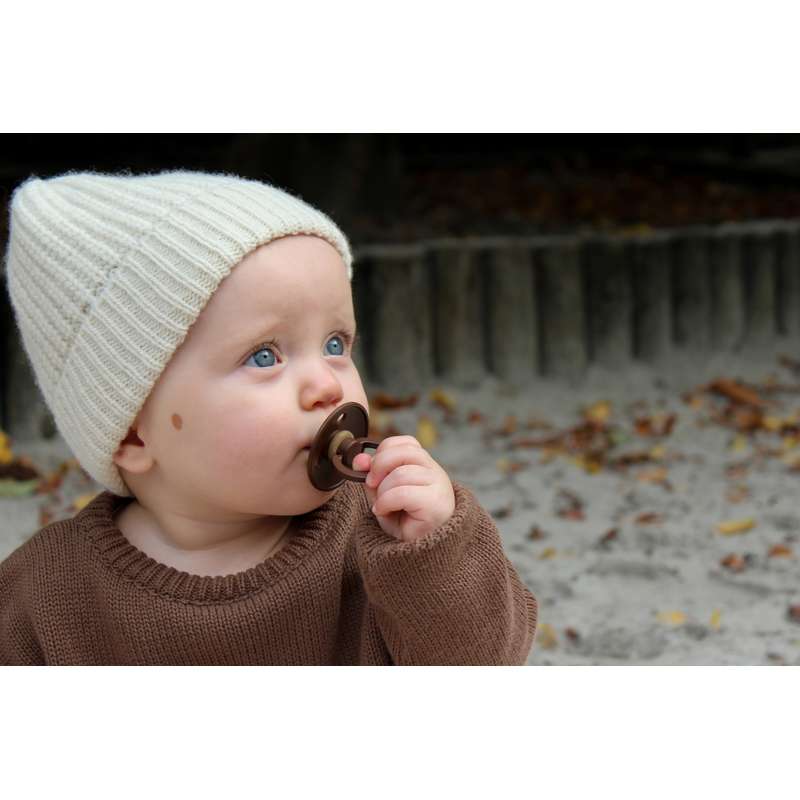 Bibs Round Colour Pacifier - Sample pack - 5 pcs. - sz. 1 - Forest Floor 