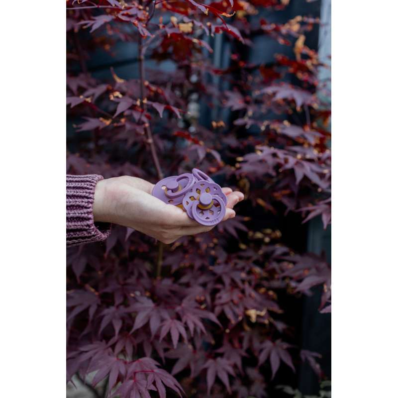 Bibs Kulatý Colour Dudlík - Sampak - 5 ks - vel. 2 - Mauve 