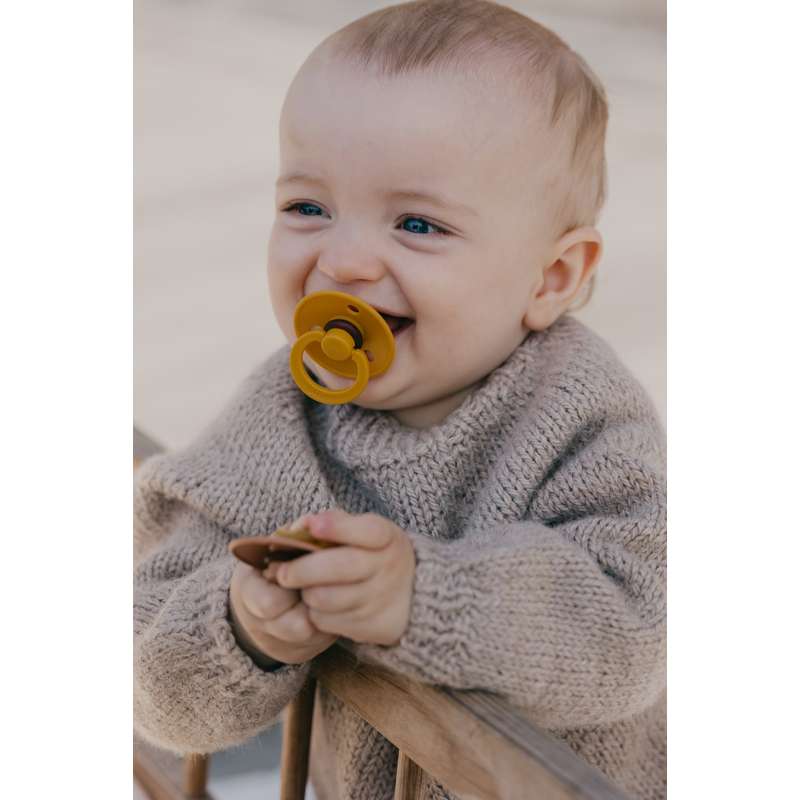 Bibs Ronde Colour Fopspeen - Sampak - 8 stuks - mt. 1 - Teddybeer 