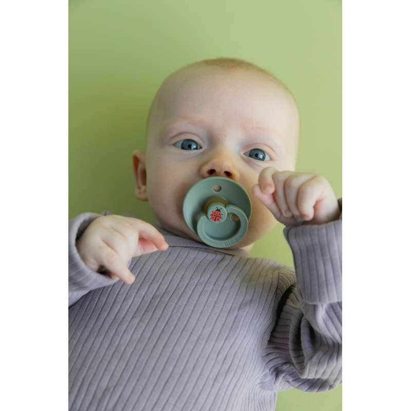 BIBS Rund Colour Sut - Str. 3 - Naturgummi - Studio - Ladybug - Sage