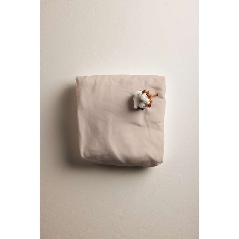 Drap Jersey Zèbre - 70x120 cm. - Bébé - Seabreeze Beige